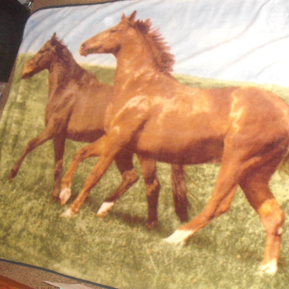 Huge bed size horse blanket